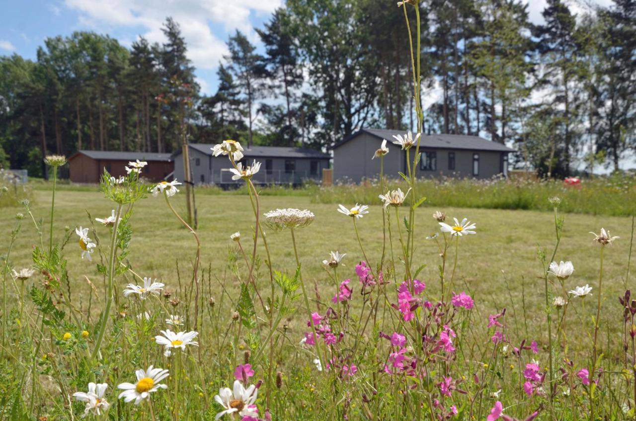 Lodge Hollicarrs - Sunflower *