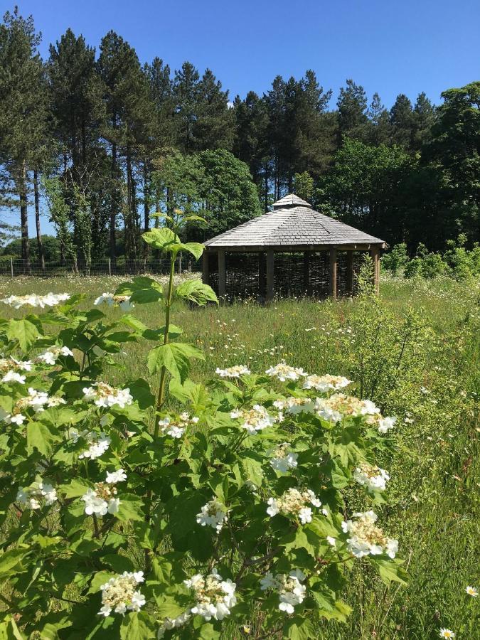 Hollicarrs - Sunflower Lodge York